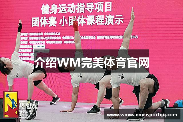 介绍WM完美体育官网